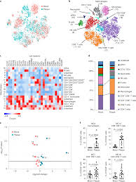 Single Cell Immune Landscape Of Human Atherosclerotic