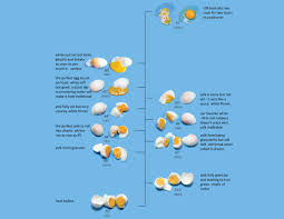 I Love Charts The Egg Chart By Dave Arnold