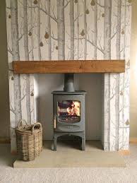 Wood Burning Stove