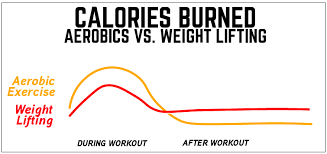 calories burned during a workout matter