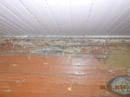 Termite Damage To Hardwood Flooring