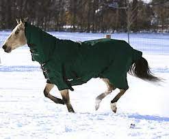 9 best blankets for happy horses