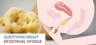 menstrual sponge frequently asked