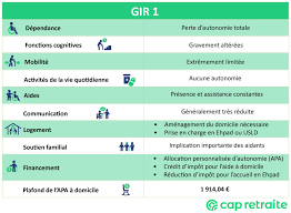 gir 1 définition explication et