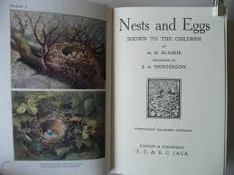 Some sections illustrate the birdy basics: Nests Eggs Ah Blaikie Vintage Book Shown To The Children Birds Ornithology 1774820341