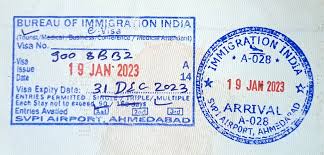 how to apply the indian e visa a step