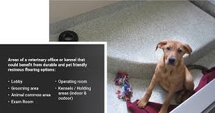 top flooring for vet offices kennels