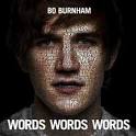 Bo Burnham: Words, Words, Words