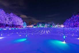 denver botanic gardens christmas lights