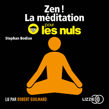 Zen ! La méditation pour les Nuls Livre audio - Stephan BODIAN - Robert  Guilmard