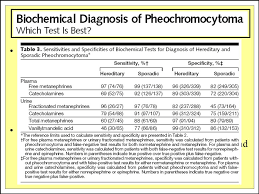 Paraganglioma Extraadrenal Pheochromocytoma Review Ppt