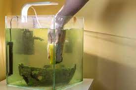 Remove Hard Water Stains From Fish Tank