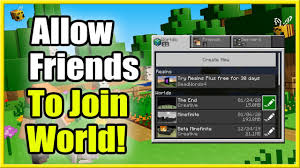 allow friends to join minecraft world