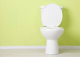 Saniflo Toilets What You Need To Know