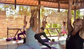 top 10 vinyasa yoga teacher