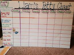 Diy Potty Training Chart Pottytraining101plus1 Toddler