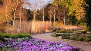 free admission to kew gardens and