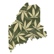Patients who choose to use our online consultation will receive th How To Get A Medical Marijuana Card In Maine Mainetrees