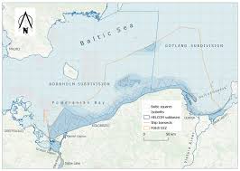 scale essment of seabird bycatch