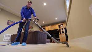 carpet cleaning fuzzy wuzzy seattle wa