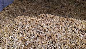 hay farm bedding cows animals bale