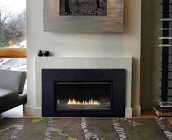 Empire Direct Vent Gas Fireplace Insert