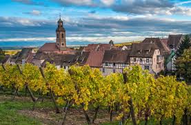 How To Find The Perfect Vintage From Alsace Wine Enthusiast