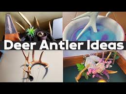 Diy Antler Crafts Home Decorating