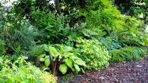 How To Design Dense Garden Beds In The