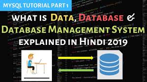 database management system dbms