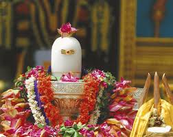 lord shiva lingam wallpapers top free