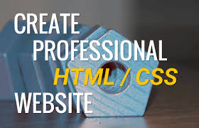 professional html css