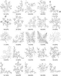 flower type of line drawing vector