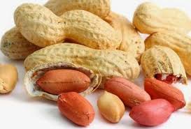 peanut farming groundnut information
