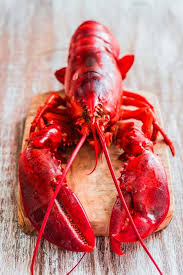 how to cook lobster four methods