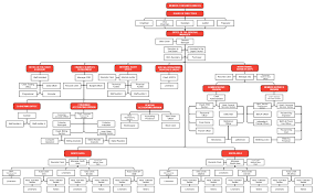 San Miguel Corporation Organizational Chart Www
