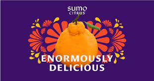 about sumo citrus