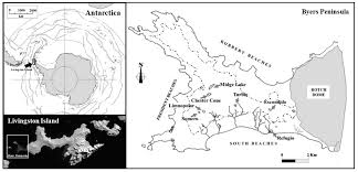 limnology and aquatic microbial ecology