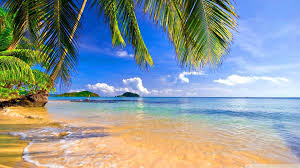 400 tropical wallpapers wallpapers com