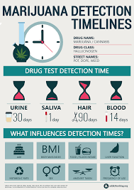 Detection Times For Marijuana Drug Test Blood Urine Hair