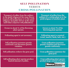 Difference Between Self And Cross Pollination Difference