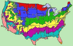 Usa Zone Map Flower Gardens For Everyone Plant Flowers