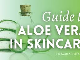 aloe vera in natural skincare