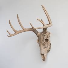 Faux Taxidermy Deer Skull Wall Decor