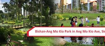bishan ang mo kio park your singapore