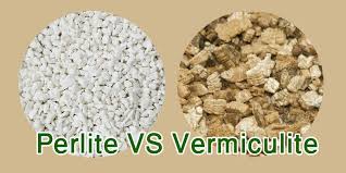Perlite vs Vermiculite-Similarities and Difference to Note - Agri Thai