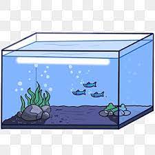 fish tank png transpa images free