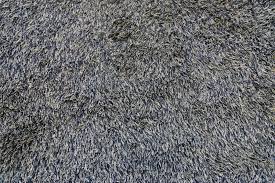 carpet types fiber pile cuts
