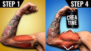 how to use creatine for muscle growth