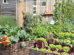 4 Tips For Planning An Edible Garden
